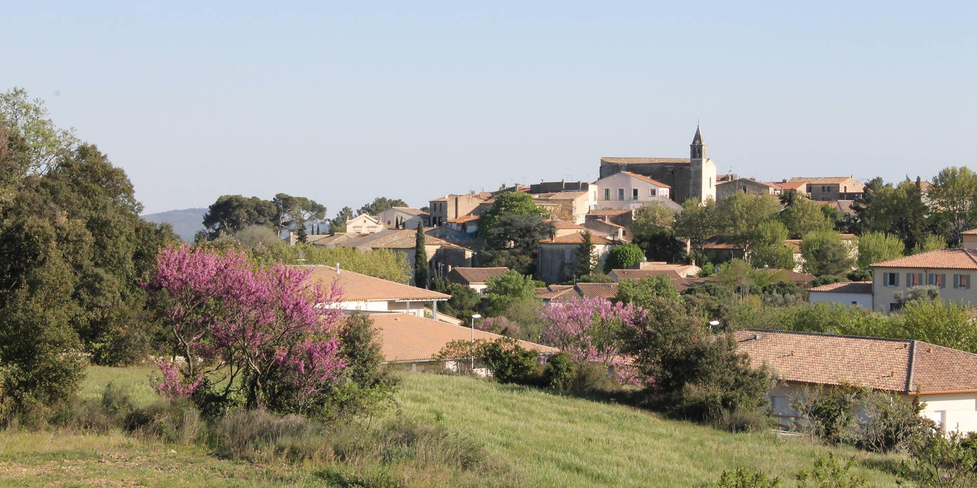 IMG_4964-1-ville-murviel-1920x960.jpg